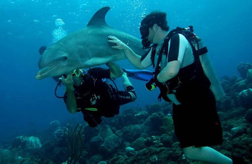 SUDS warrior prepares for adaptive scuba dive